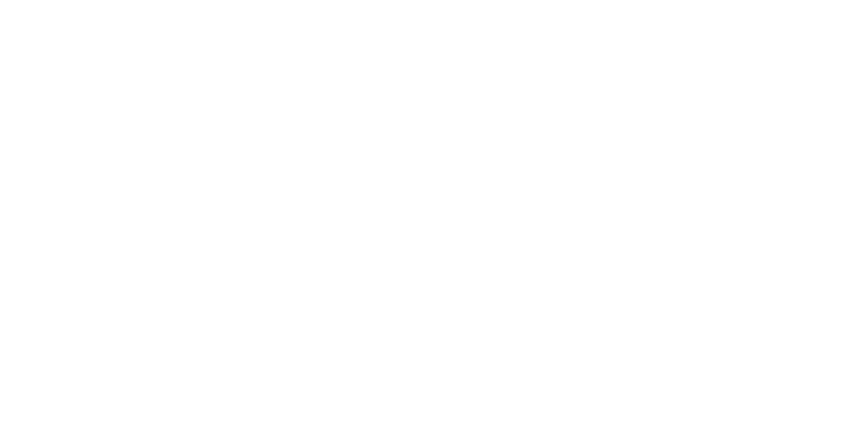 Secured Equity Title Pawn logo – Online Title Pawns in Georgia